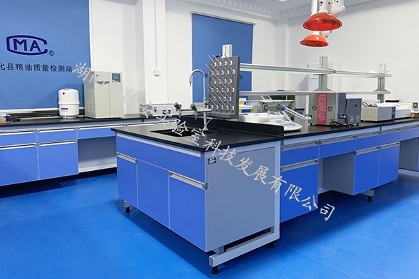 新化县粮油质量检测站